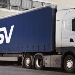 dsv