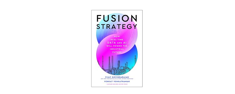 fusionstrategi